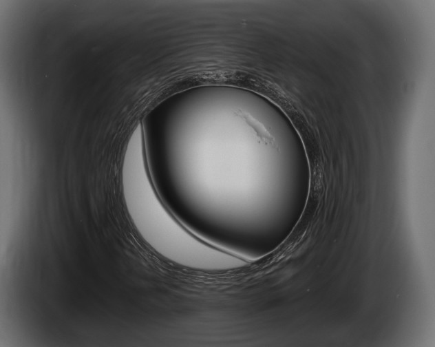 X0000085021202200703050929