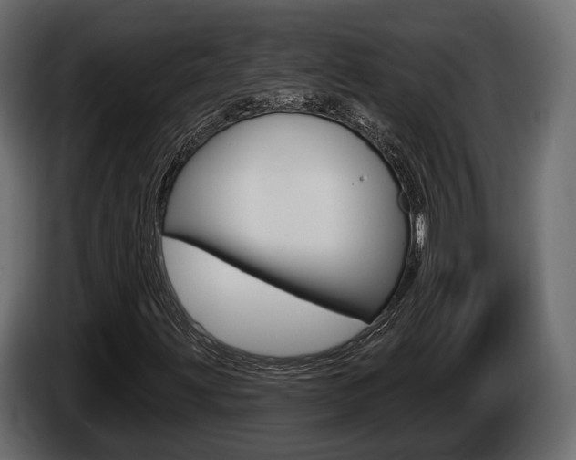 X0000085021203200703050929