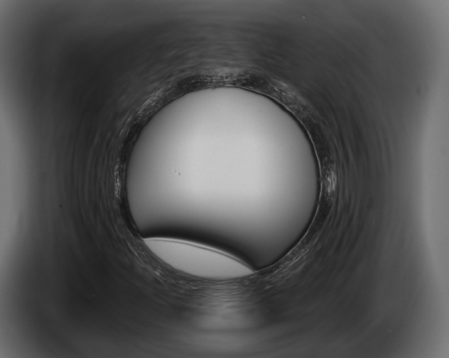 X0000085021204200703050929