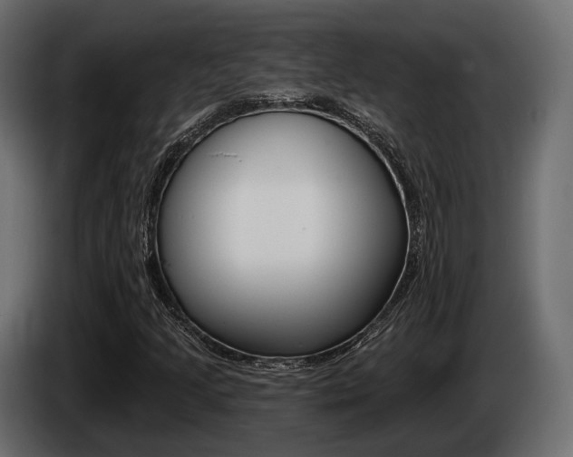 X0000085021205200703050929