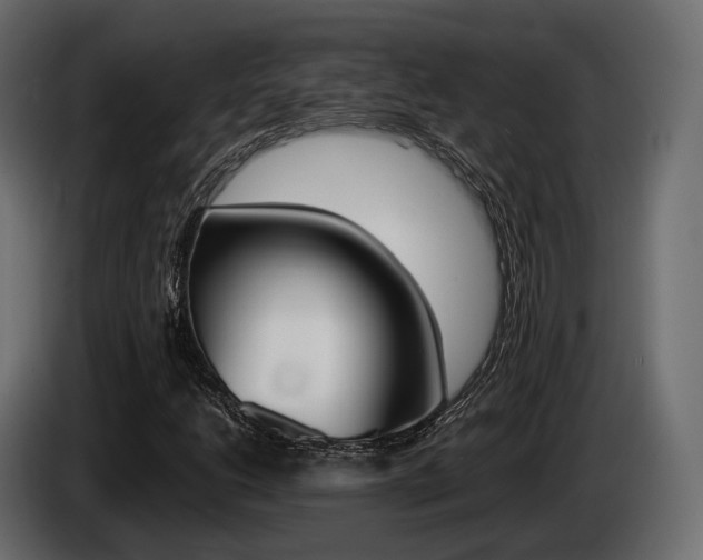 X0000085021206200703050929