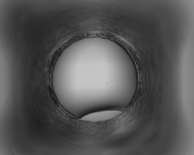 X0000085021207200703050929