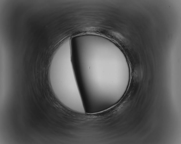 X0000085021209200703050930