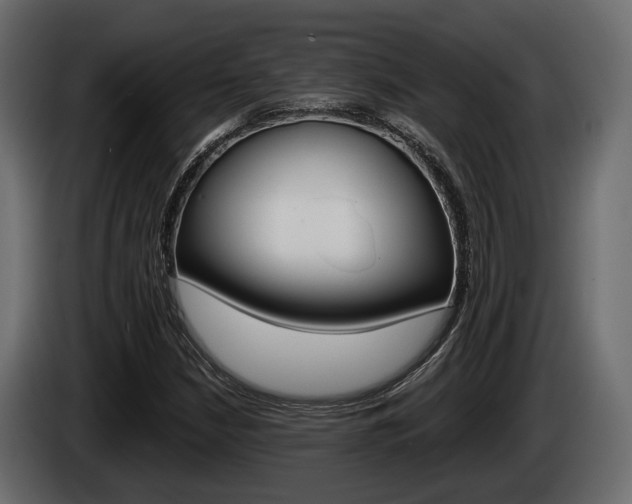 X0000085021210200703050930