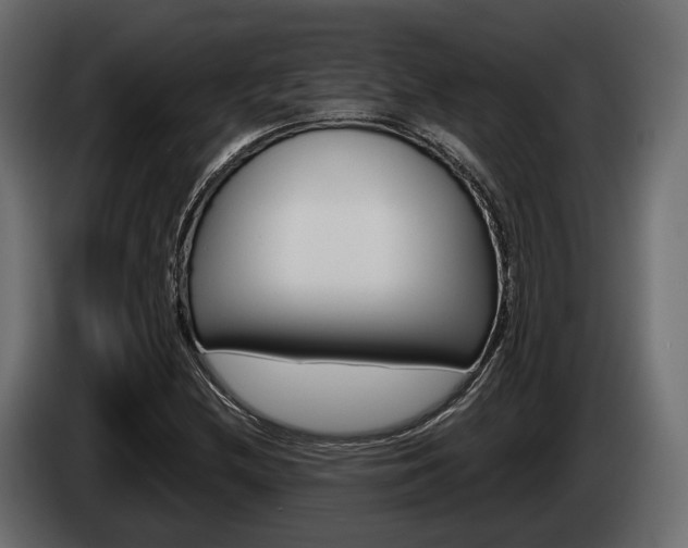 X0000085021212200703050930