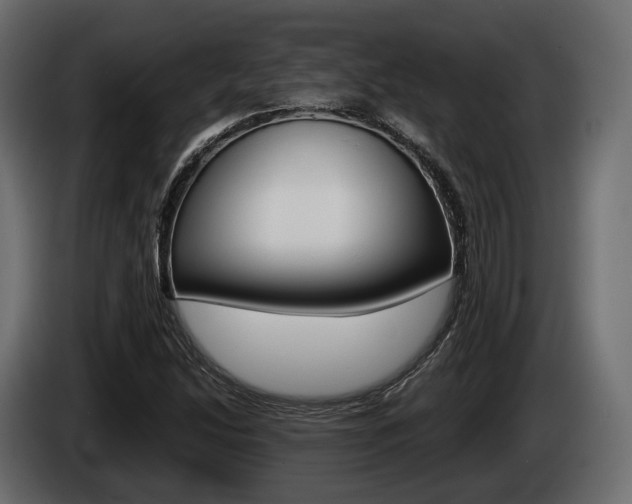 X0000085021214200703050930