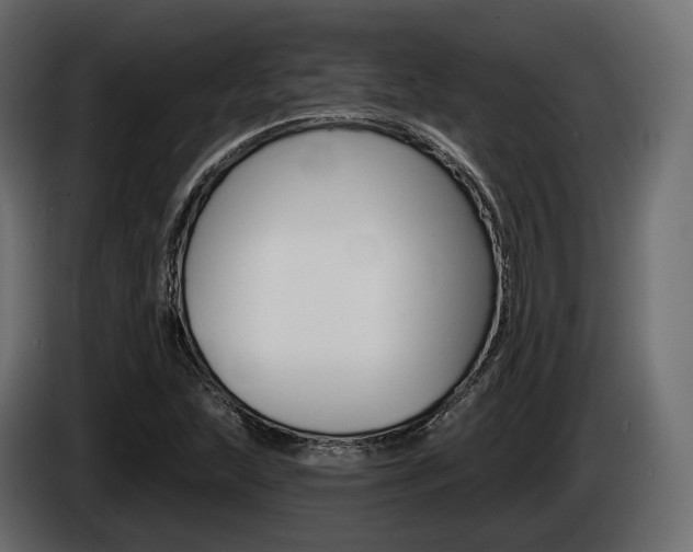 X0000085021215200703050930