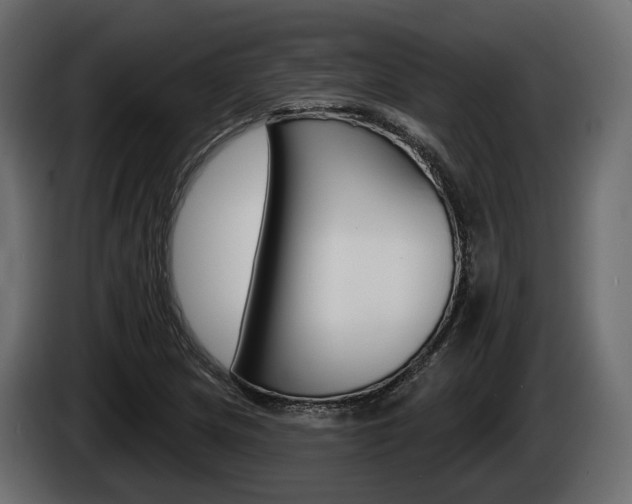 X0000085021217200703050930