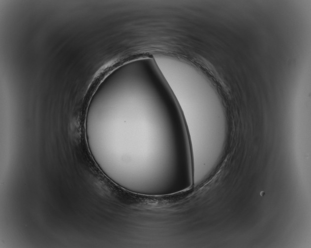 X0000085021218200703050930