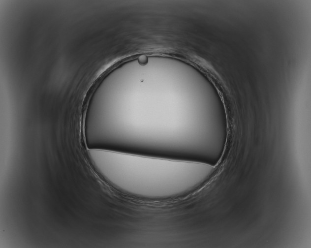 X0000085021220200703050930