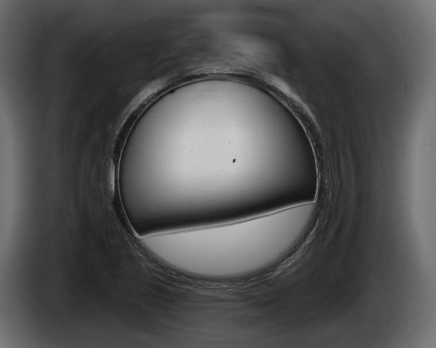 X0000085021221200703050930