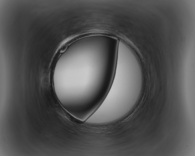 X0000085021222200703050930