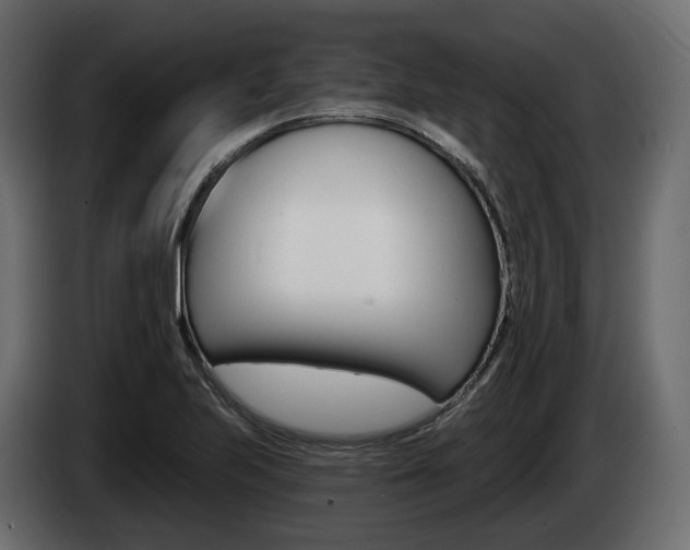 X0000085021223200703050930
