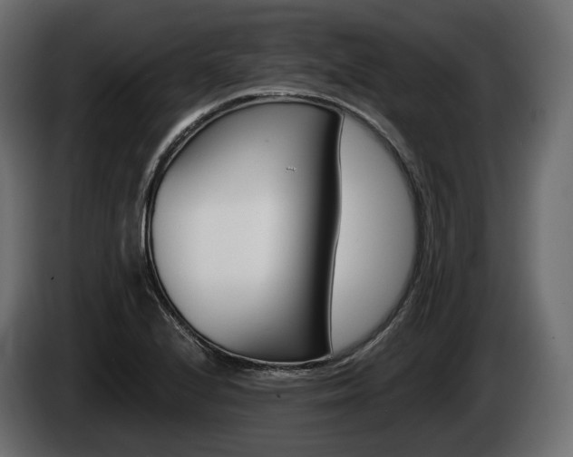 X0000085021224200703050930