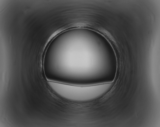 X0000085021226200703050930