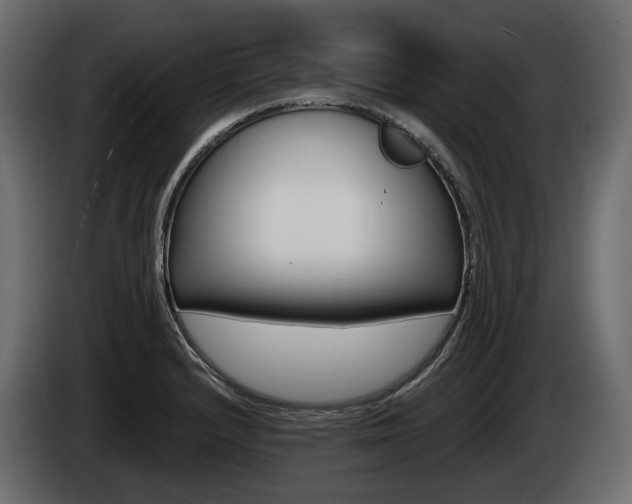 X0000085021232200703050930