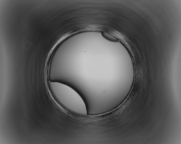 X0000085021235200703050930