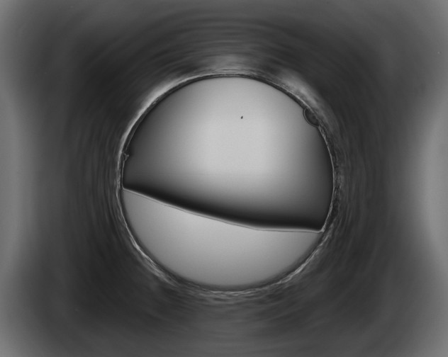 X0000085021236200703050930