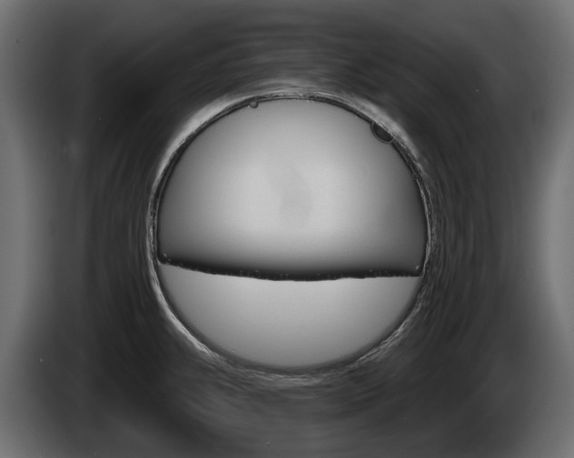 X0000085021239200703050930
