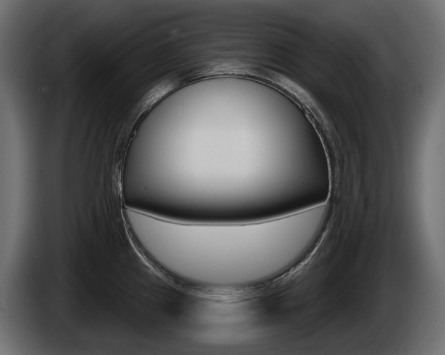 X0000085021241200703050930