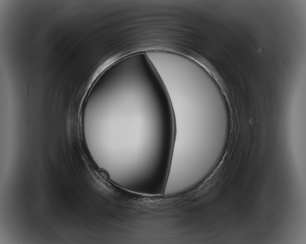 X0000085021242200703050930