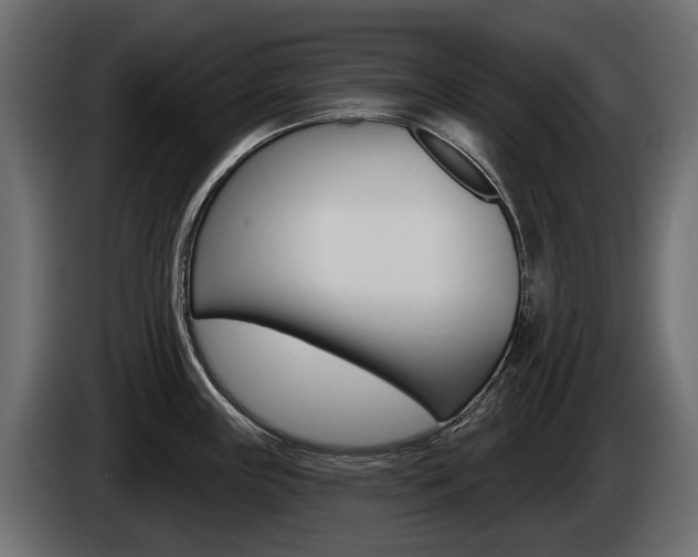 X0000085021243200703050930