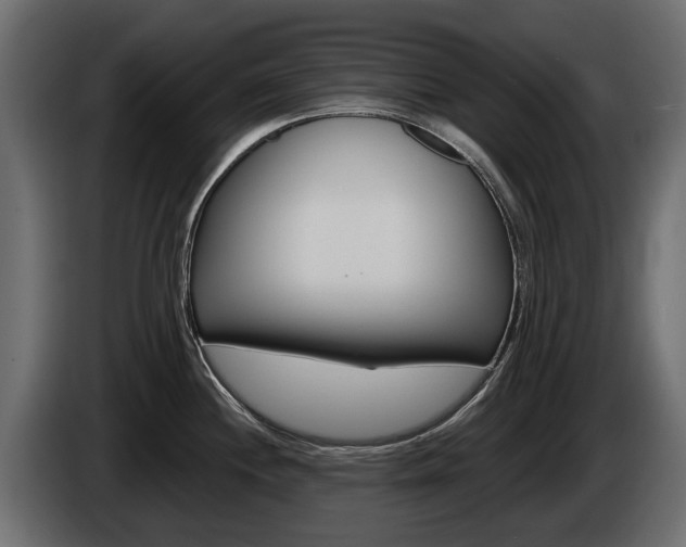 X0000085021244200703050930