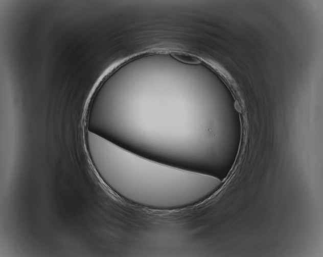X0000085021248200703050930