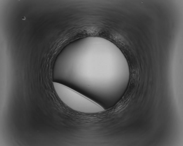 X0000085021249200703050929