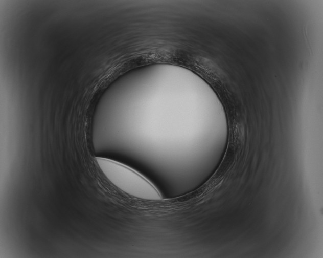 X0000085021250200703050929