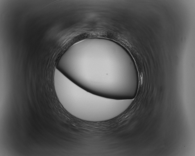 X0000085021251200703050929