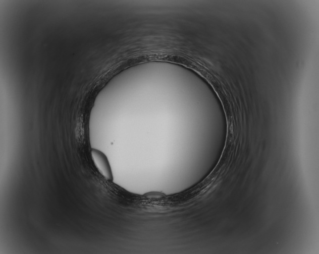 X0000085021252200703050929