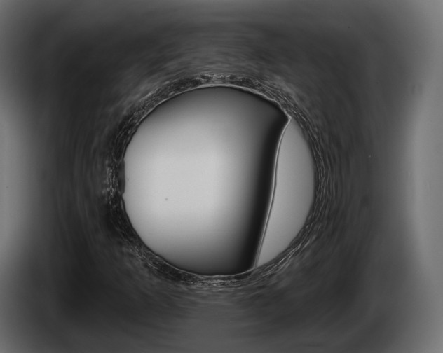 X0000085021253200703050929