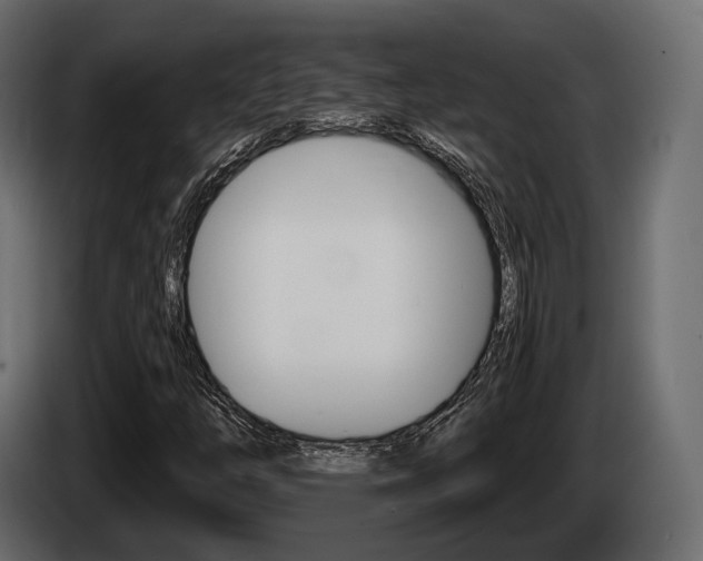 X0000085021254200703050929