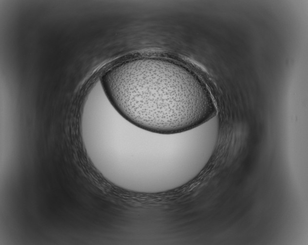 X0000085021255200703050929