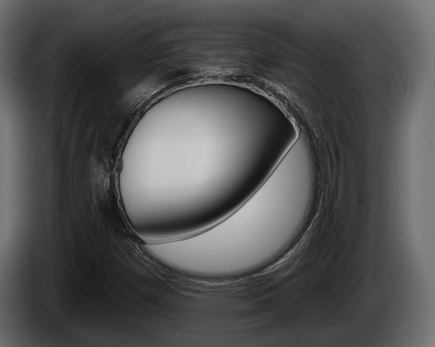 X0000085021257200703050929