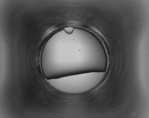 X0000085021259200703050929