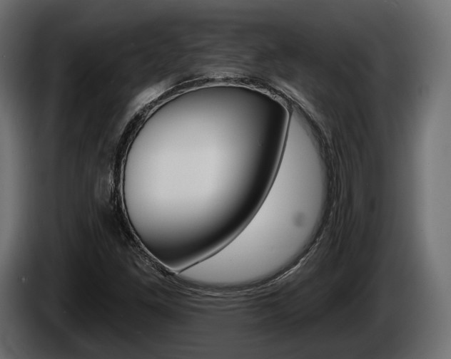 X0000085021261200703050929