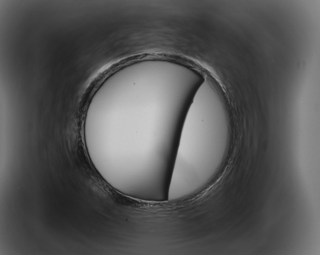 X0000085021263200703050929