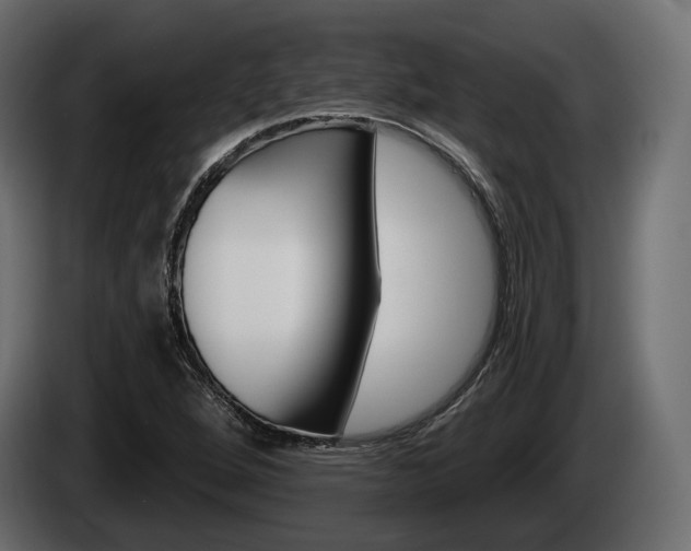 X0000085021264200703050929