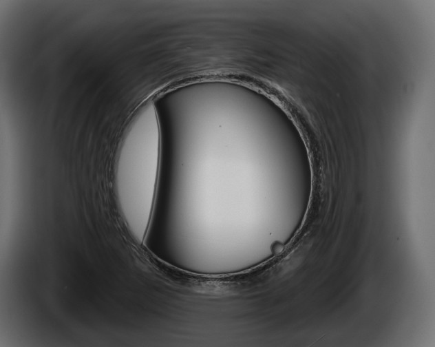 X0000085021265200703050929