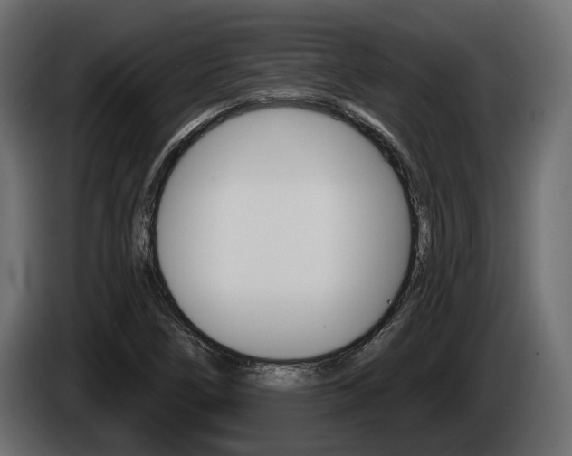 X0000085021266200703050929
