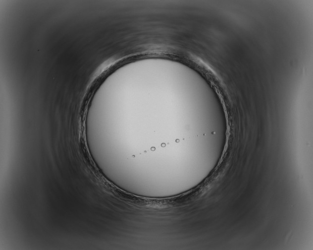X0000085021267200703050929