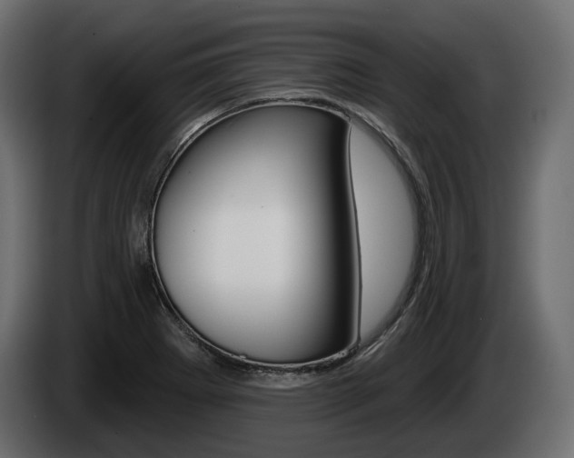 X0000085021273200703050929