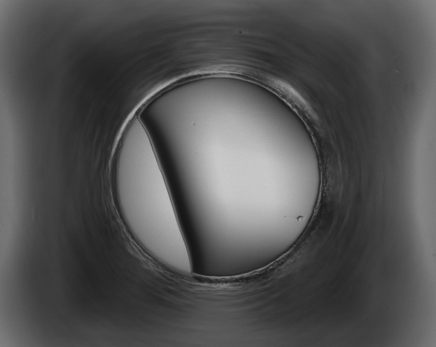 X0000085021276200703050929