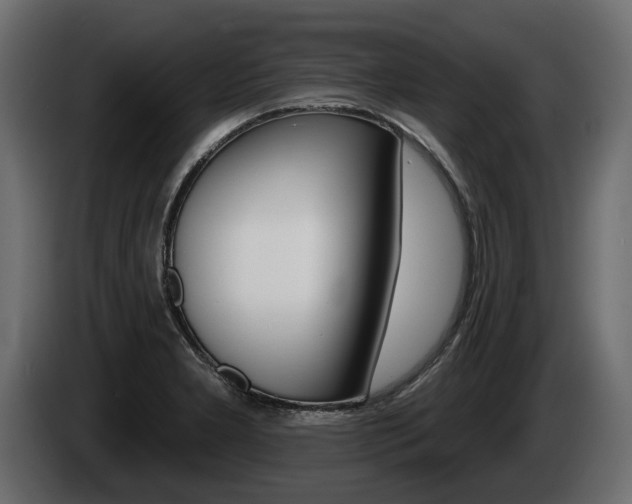 X0000085021277200703050929