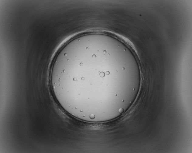 X0000085021279200703050929