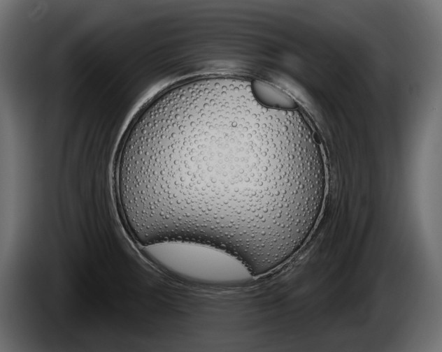 X0000085021283200703050929