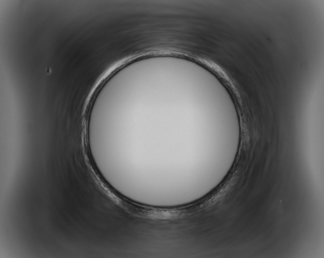 X0000085021286200703050929