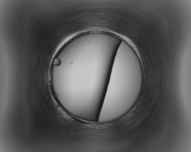 X0000085021287200703050929